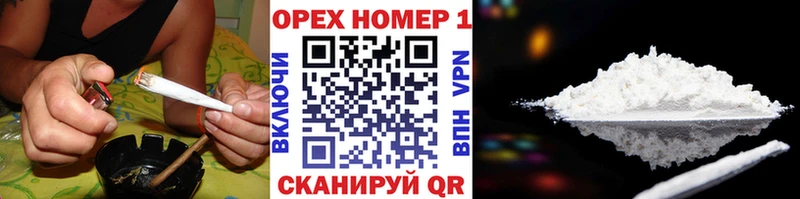 COCAIN Эквадор  Севастополь 