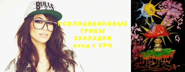 стафф Алексин