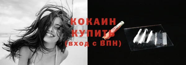 дживик Абаза
