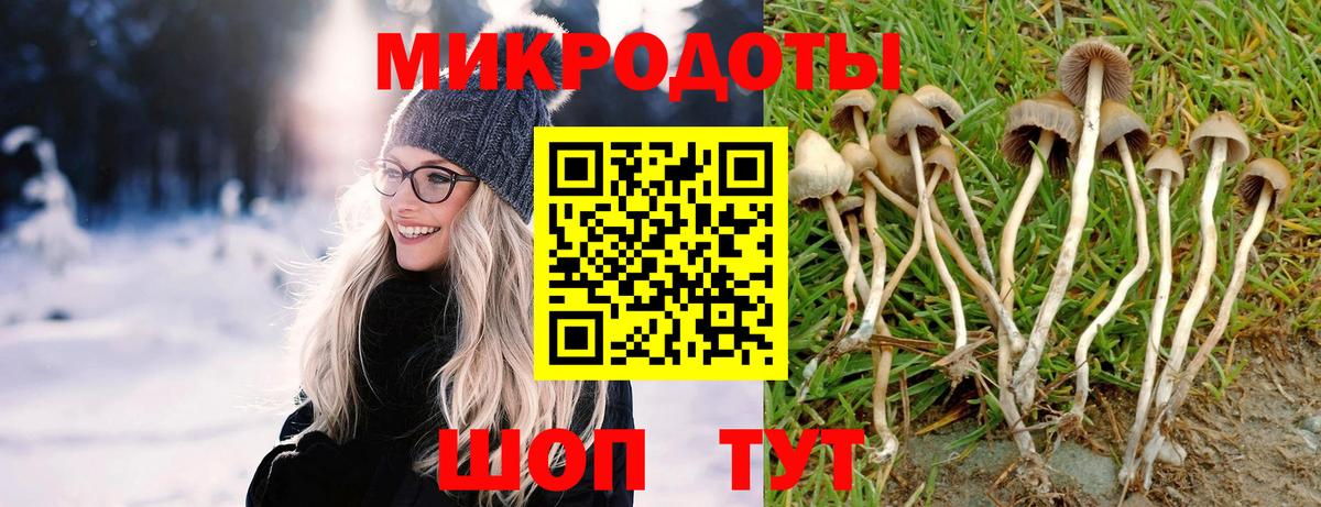 Севастополь  Псилоцибиновые грибы Psilocybine cubensis  Вход с VPN 